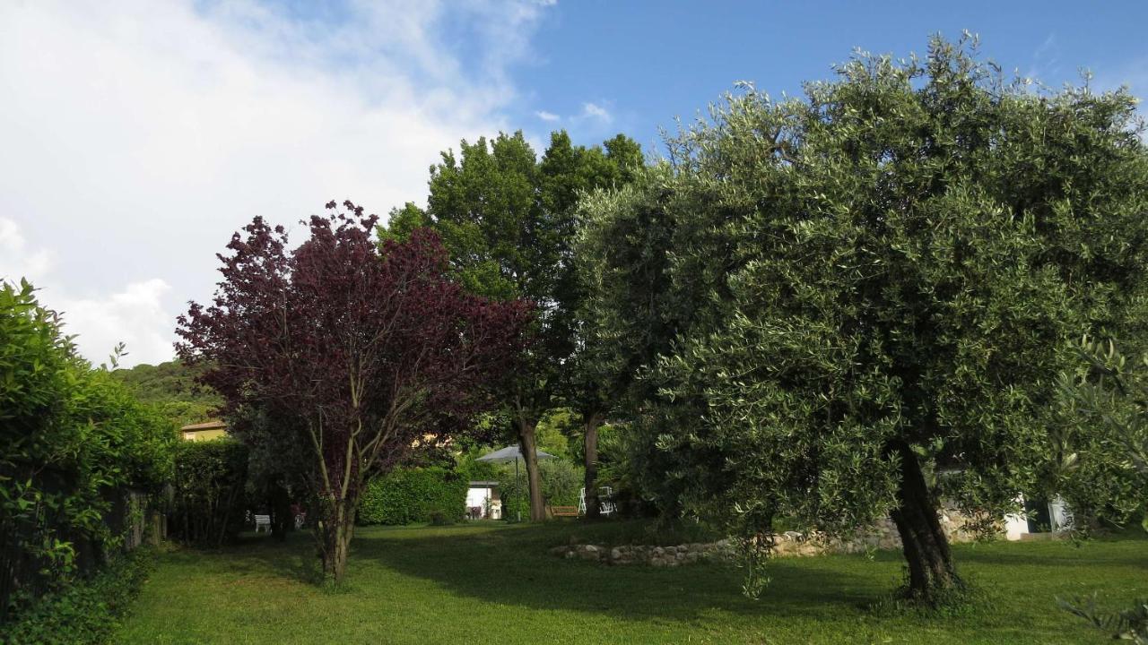 ロナート Il Gelso Di Barcuzzi Bed & Breakfast エクステリア 写真
