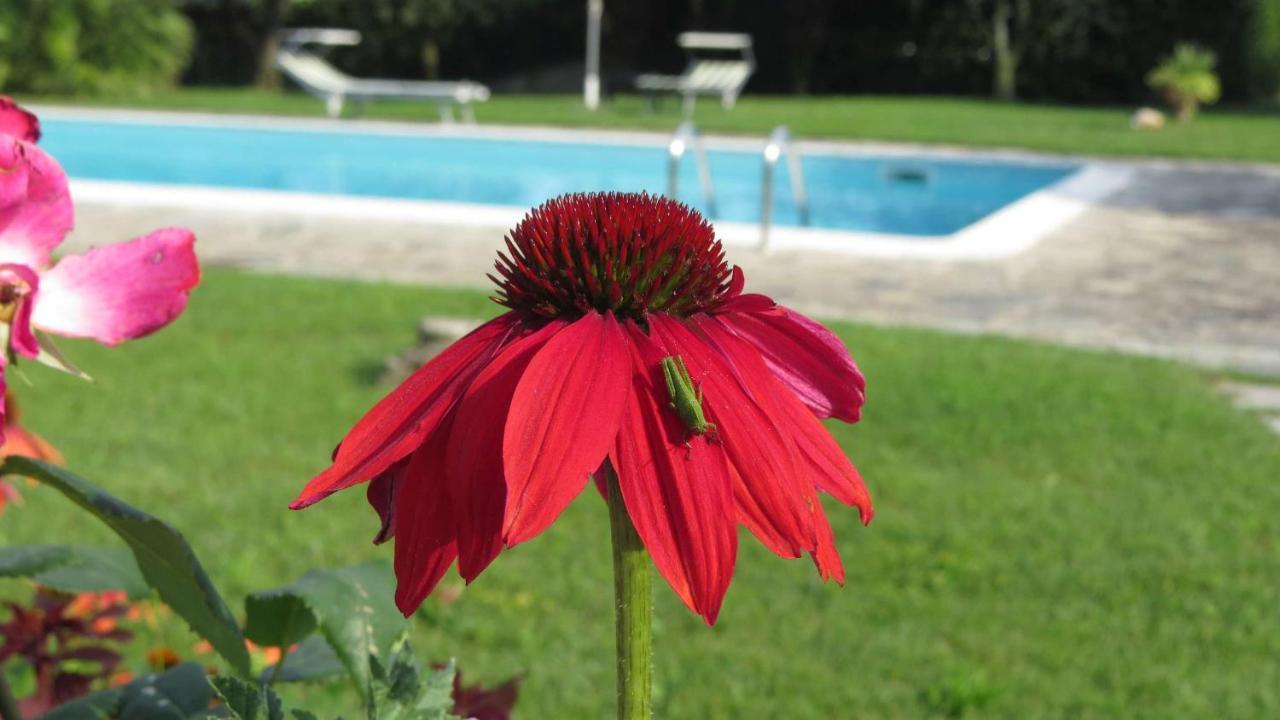 ロナート Il Gelso Di Barcuzzi Bed & Breakfast エクステリア 写真